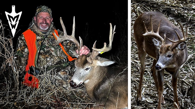 Tagged Out in Iowa, Uncommon Late-Season Food Sources | Midwest Whitetail
