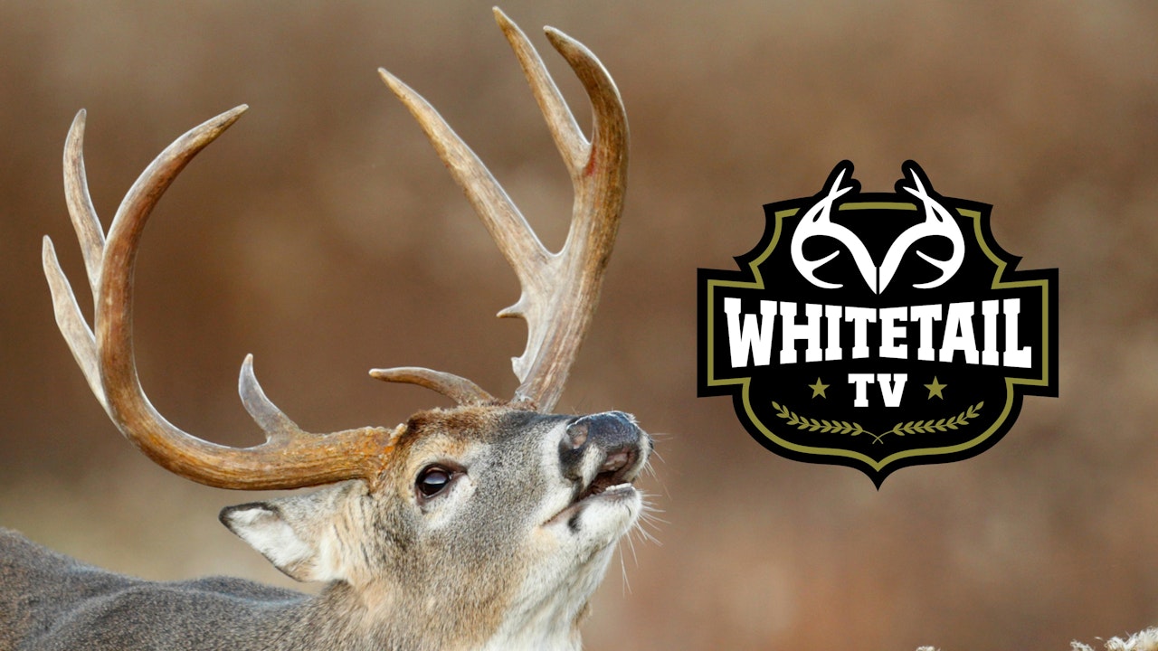 Whitetail TV