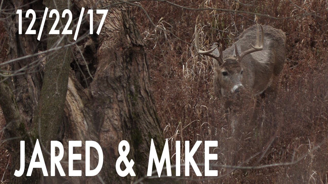 Jared's Blog: Canoe in, Hunt Bedding Area