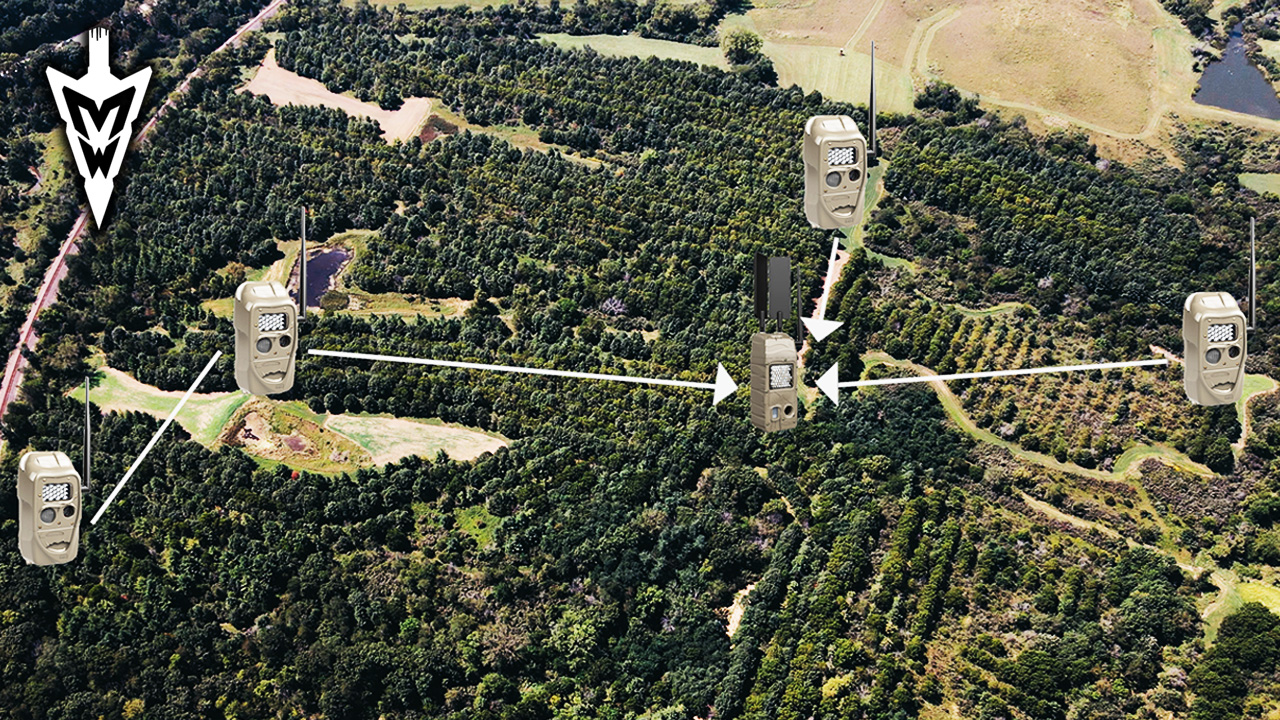 Fall Trail Cam Spots, Mock Scrapes, Killer Stand Locations | Midwest Whitetail