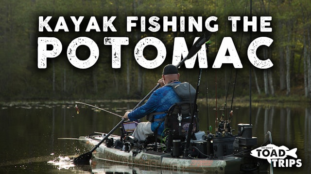 Kayak Fishing on the Potomac River | Toad Trips