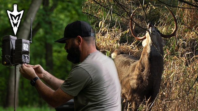 Off-Season Trail Camera Strategy | Treestands with a Purpose | Midwest Whitetail