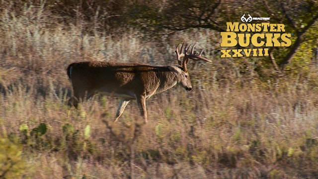 Jason Vanderbrink's Texas 11-Pointer | Realtree's Monster Bucks