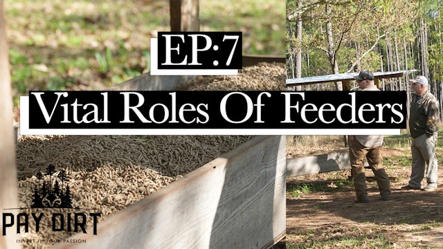Vital Roles of Deer Feeders | Pay Dirt