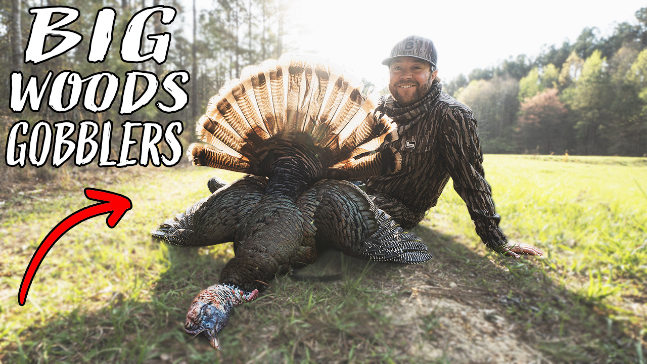 Gobbling Turkeys in the Alabama Pines | 2 Gobblers in Alabama