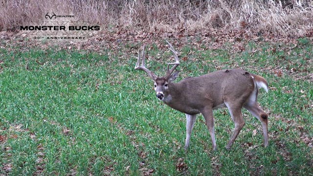 David Blanton's Illinois Crossbow Buck | Monster Bucks XXX (2022)