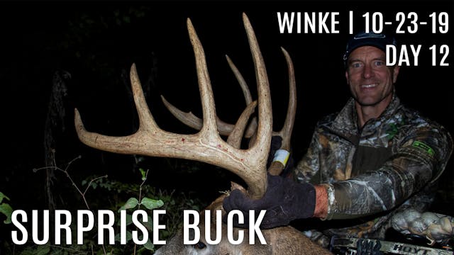 Winke Day 12: Ultimate Surprise Buck