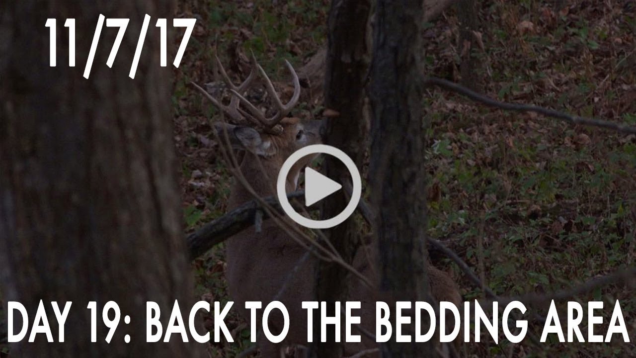 Winke Day 19: Back To The Bedding Area