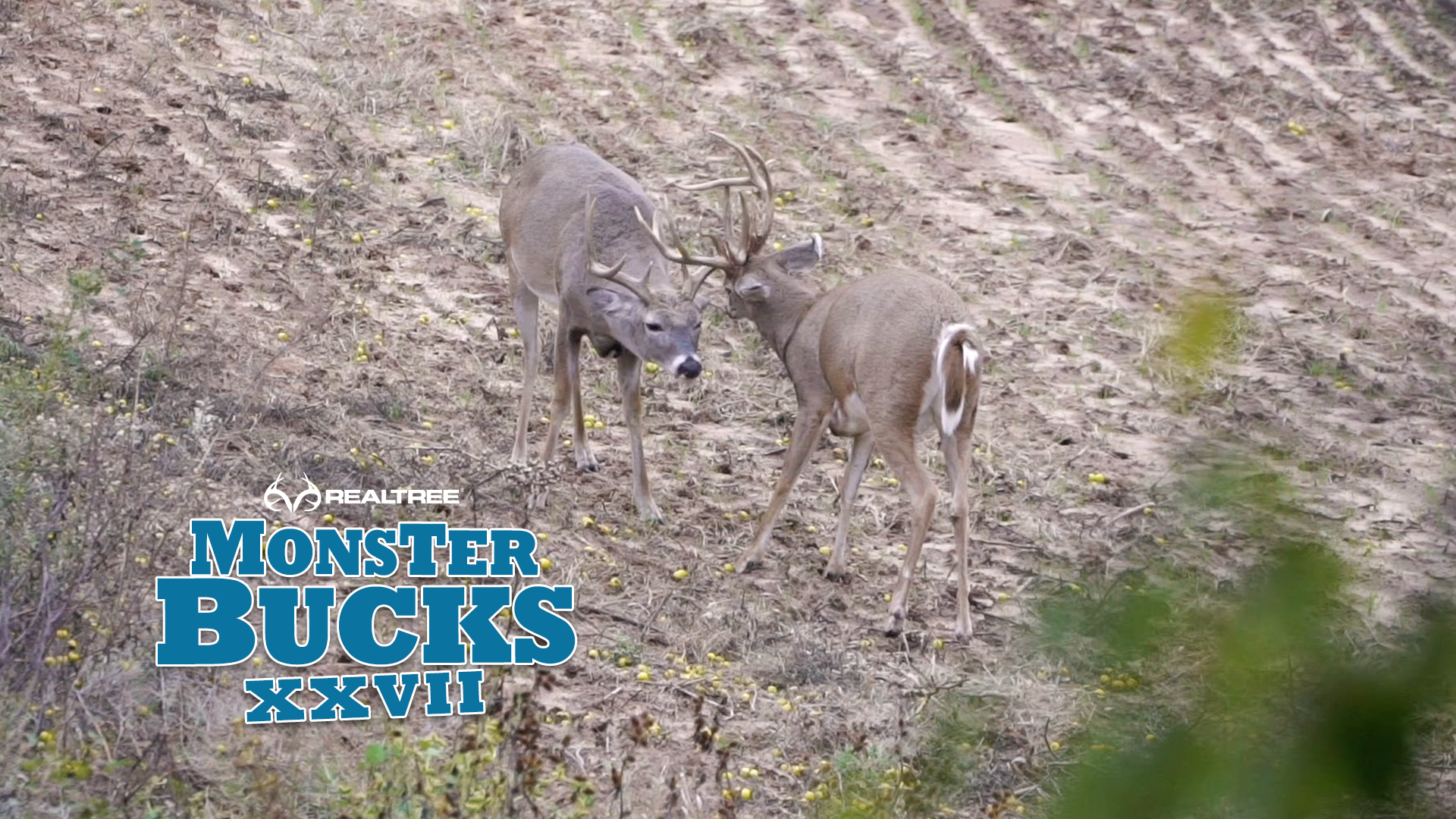 Cole Barthel Oklahoma Monster Buck