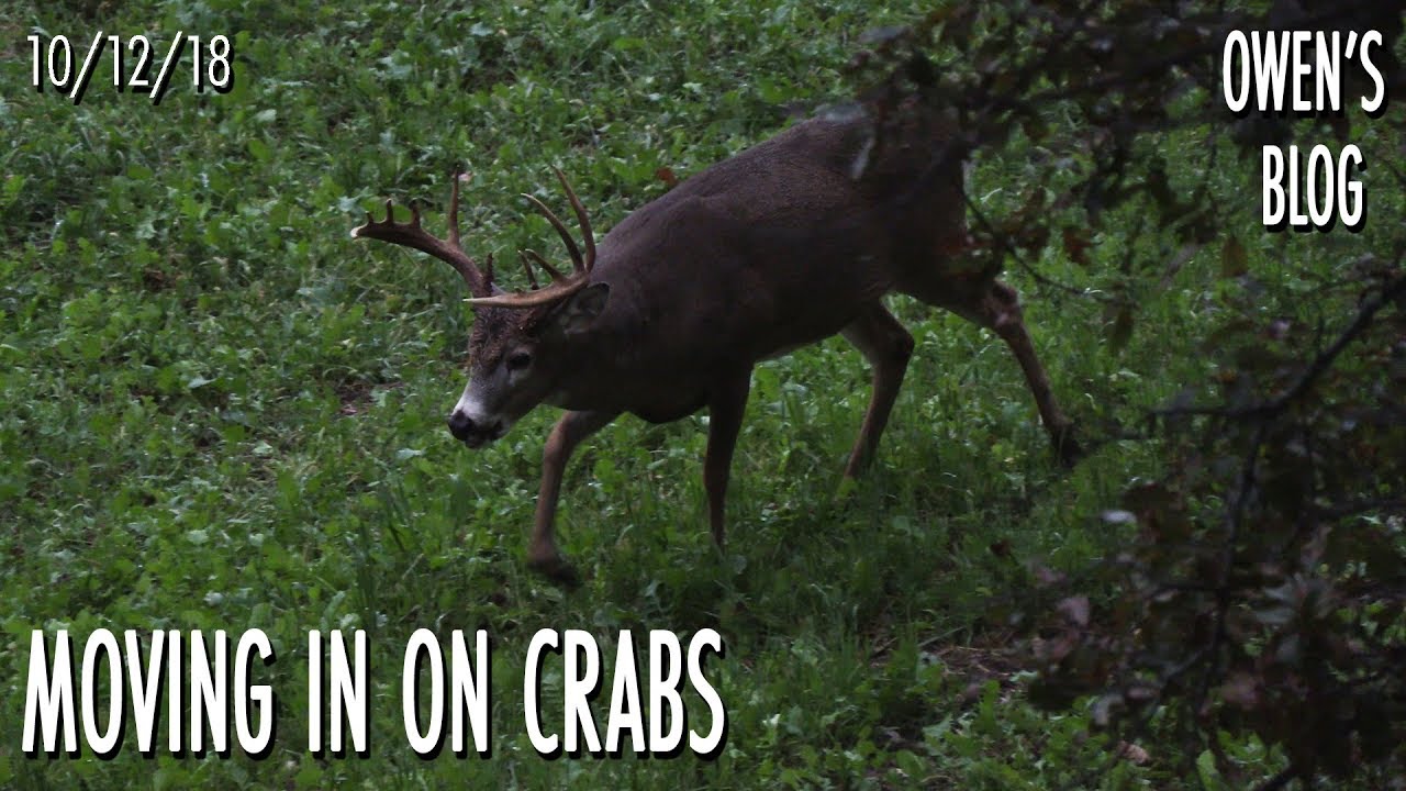 Owen's Blog: Making an Aggressive Move