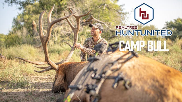 To Kill a Camp Bull | New Mexico Elk ...