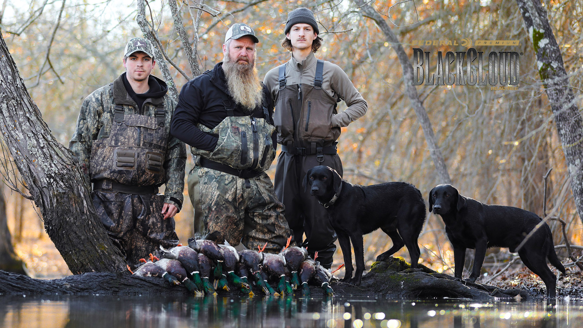 December Mallards | Grant Gets the Ducks | Black Cloud