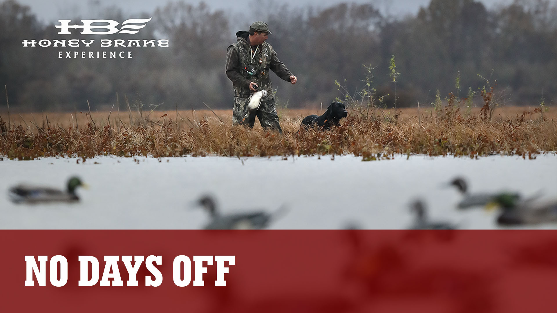 26,000 Acres to Manage and No Days Off | Honey Brake