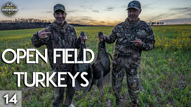 Tennessee Longbeard Double | Open Field Turkeys | Spring Thunder