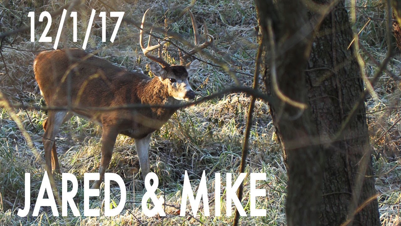 Jared's Blog: A Big 8 Named Eli