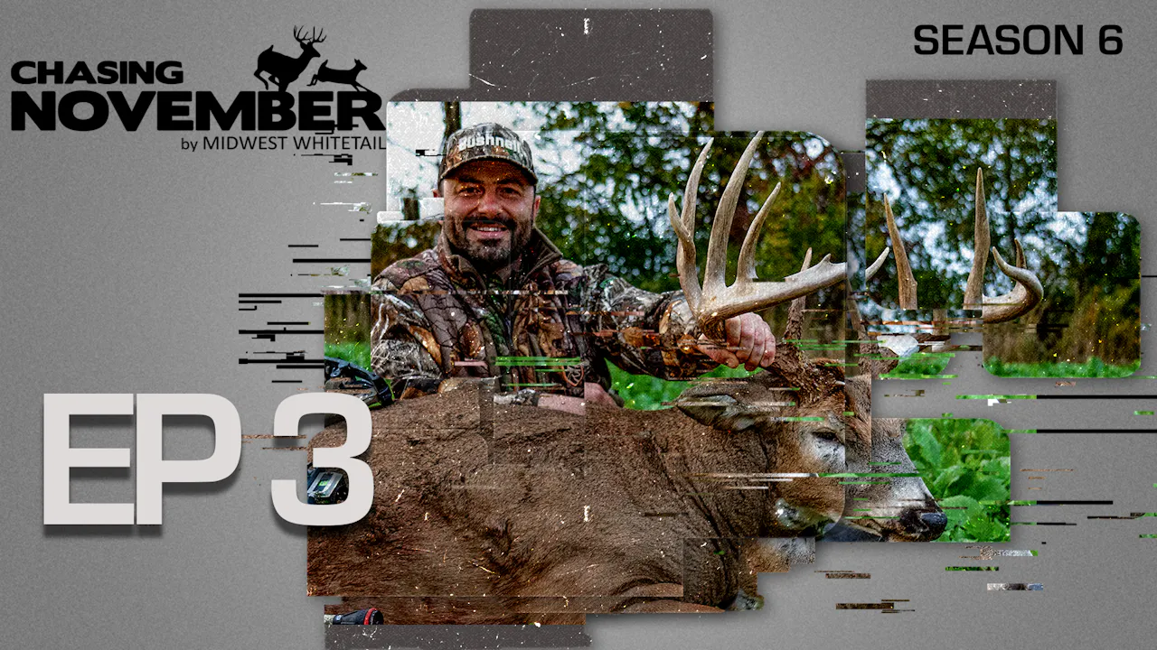E3 October Giant At Point Blank Missouri Bruiser CHASING NOVEMBER SEASON 6 Season 6 