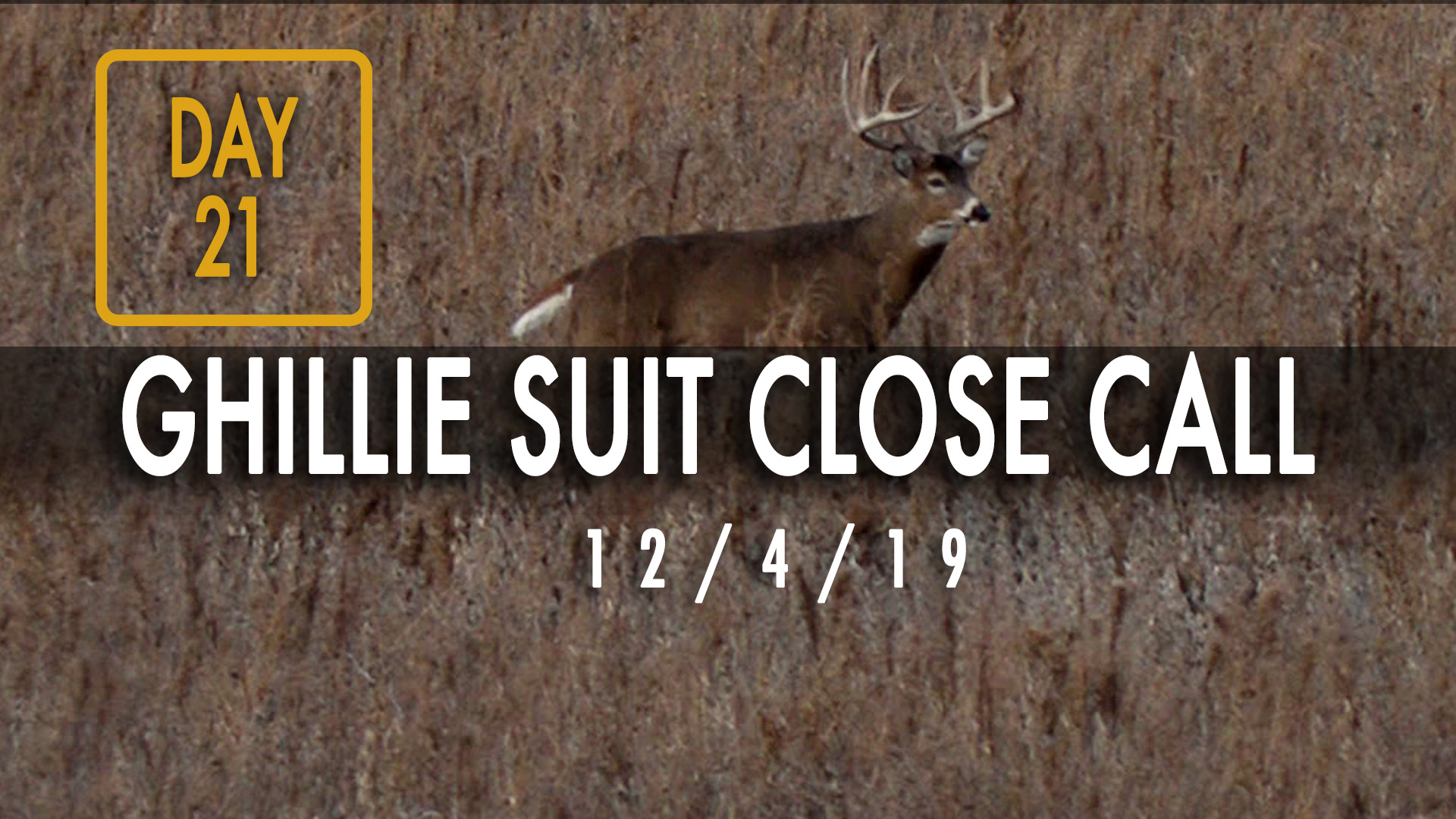 Jared Day 21: Close Call On Big Buck From The Ground