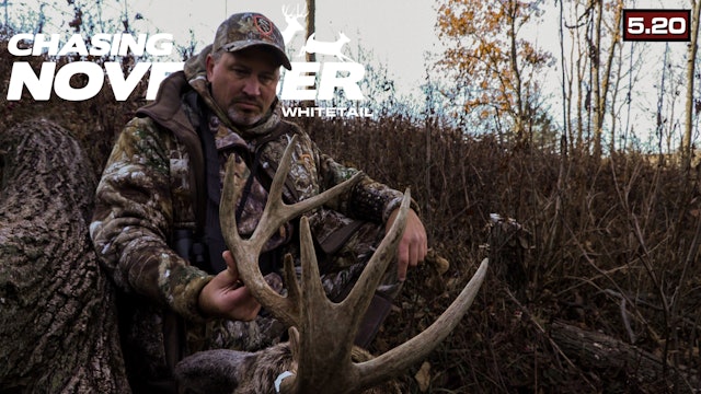 S5.E20. Rattling in a Buck | Chainsaw Frees Locked Bucks | Chasing November 