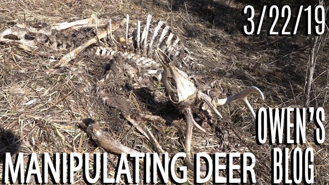 Owen's Blog: Manipulate Deer Movement, Shed Hunting