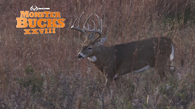 Crystal Koett's Kansas Slammer with a...