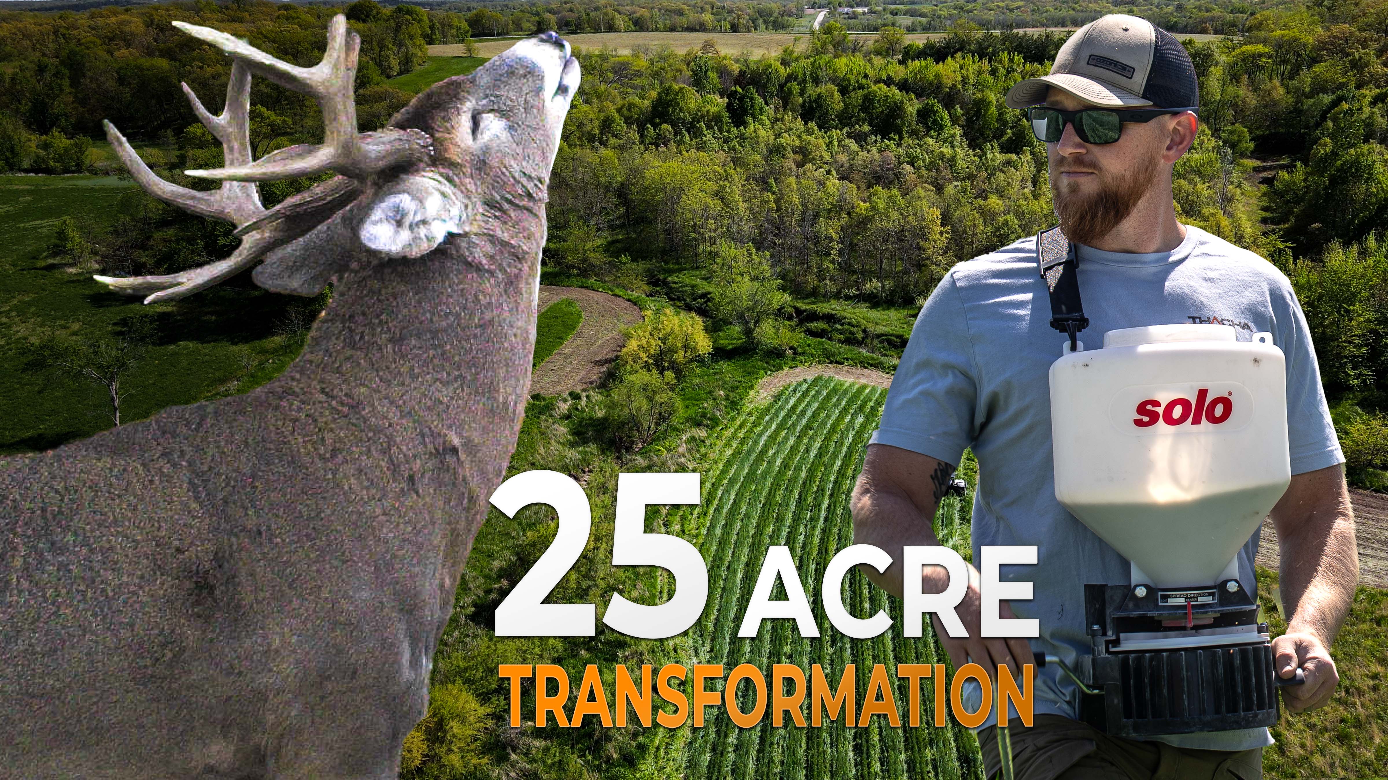 Turning 25 Acres Into A Buck Hunting Magnet