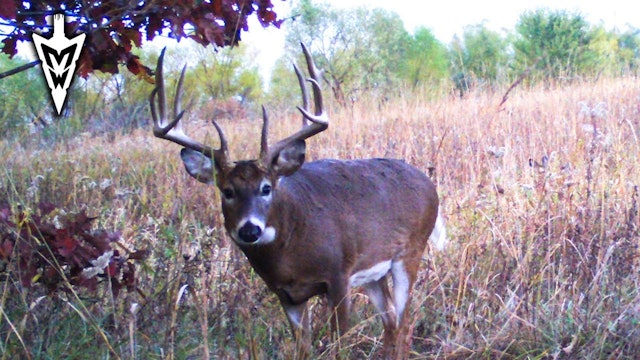 The Best Time To Hunt In October | Midwest Whitetail