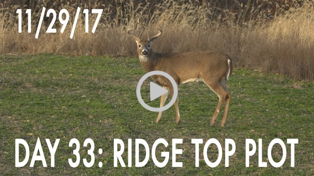 Winke Day 33: Ridge Top Hunt