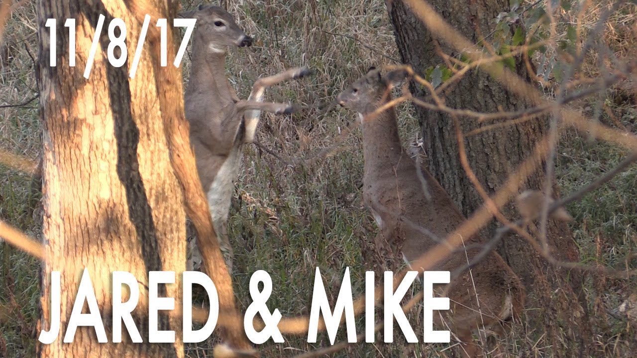 Jared's Blog: Perfect November Monrning