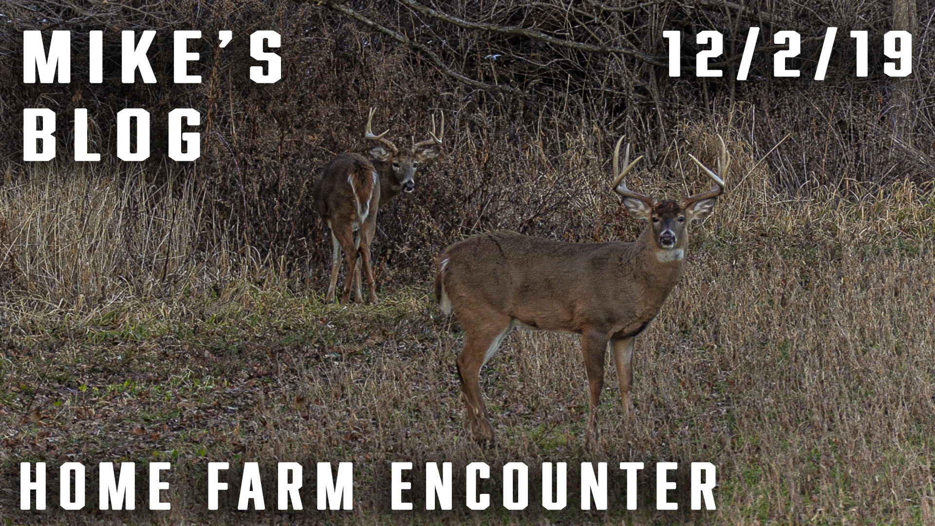 Mike's Blog: Close Call on Home Farm Encounter 