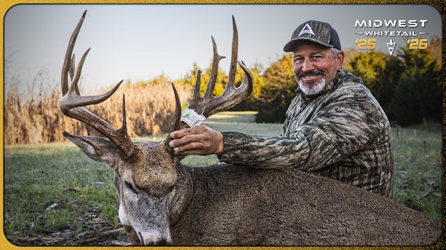 Big Buck Crushing Scrapes, Owen’s Per...