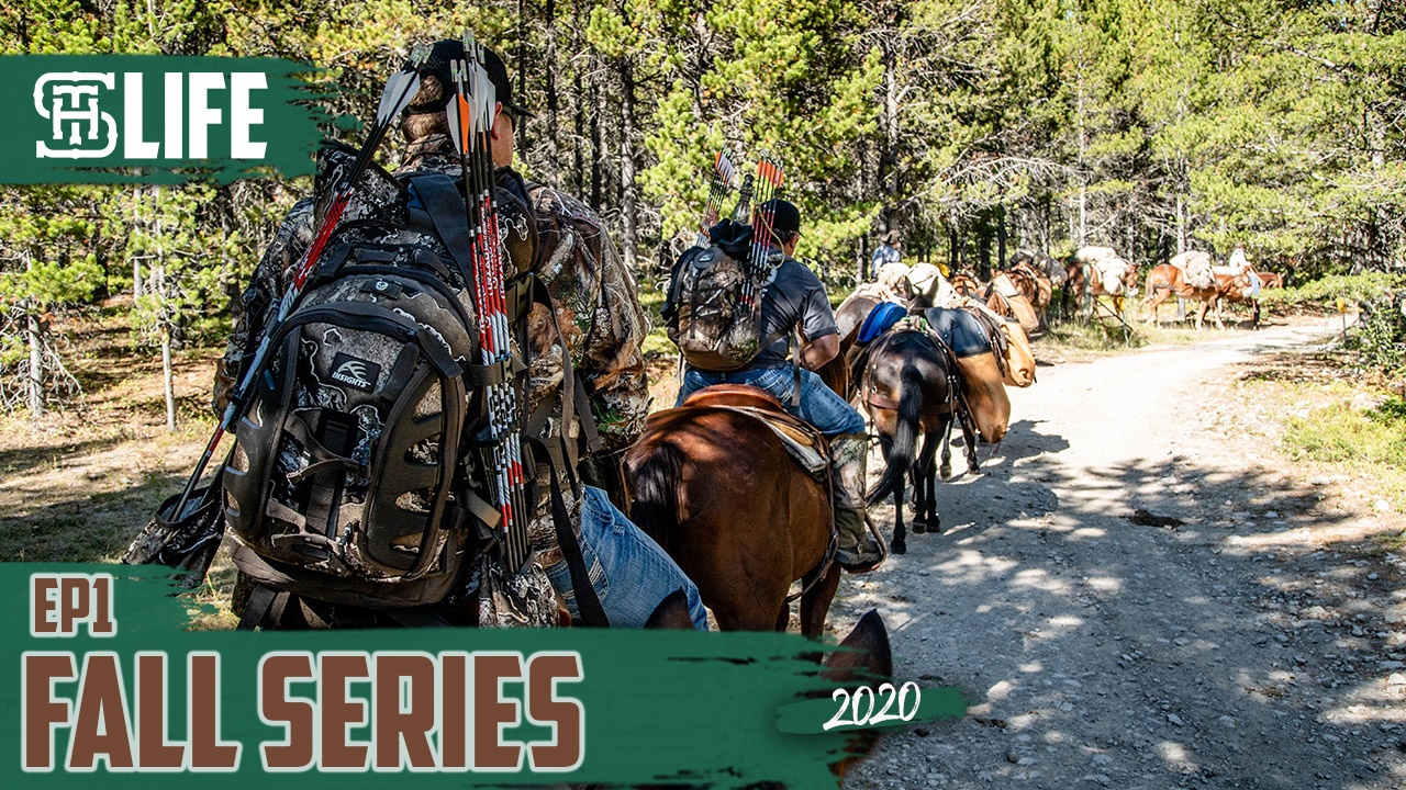 Public-Land Elk Hunting | Small Town Life (2021) | Small Town Hunting