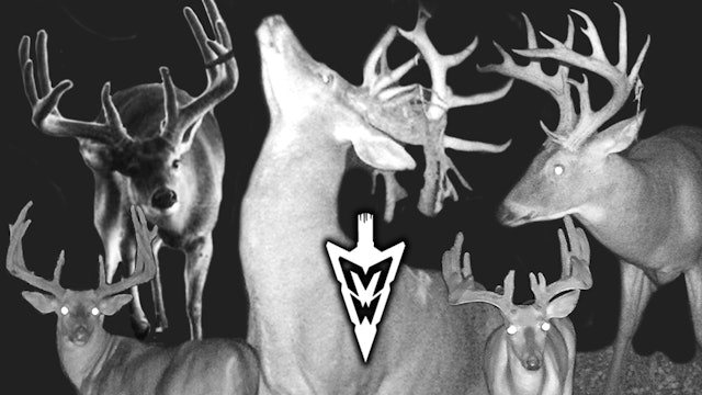Top 10 Most Wanted, The Ultimate Hit List | Midwest Whitetail