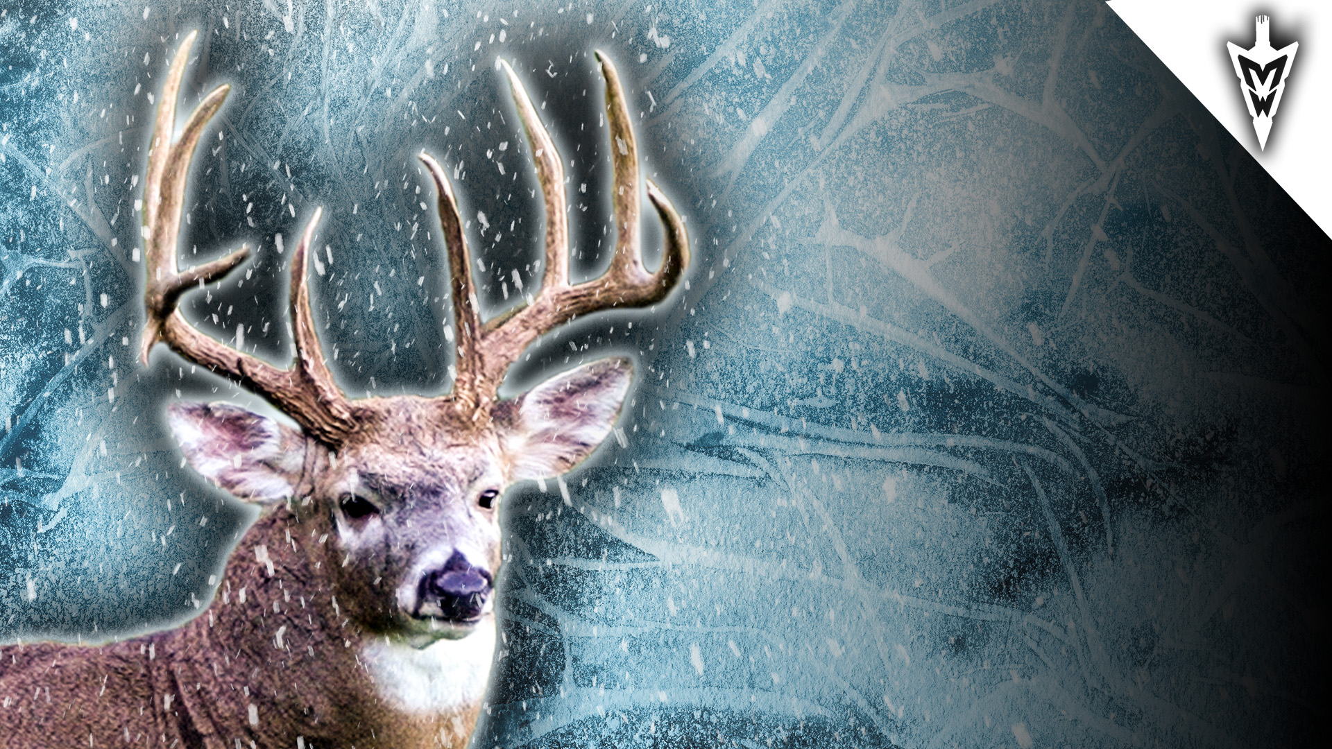 Bowhunting The Rut's Aftermath: How To Maximize Late Season Success