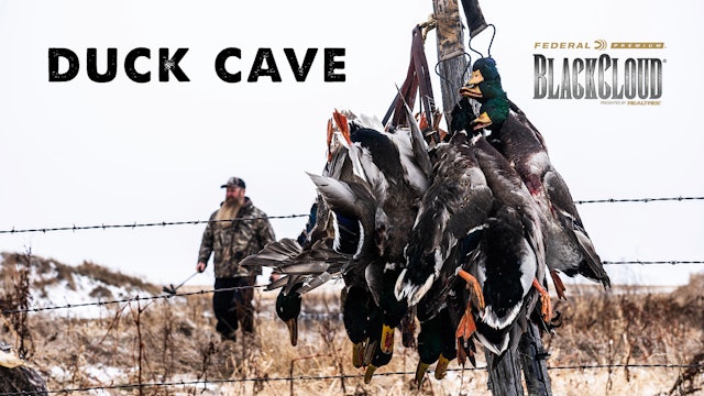Chasing Green in the Duck Cave | Dr. Duck Blasts Dakota Mallards | Black Cloud