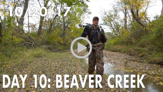 Winke Day 10: Beaver Creek