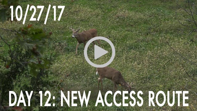 Winke Day 12: New Access Route
