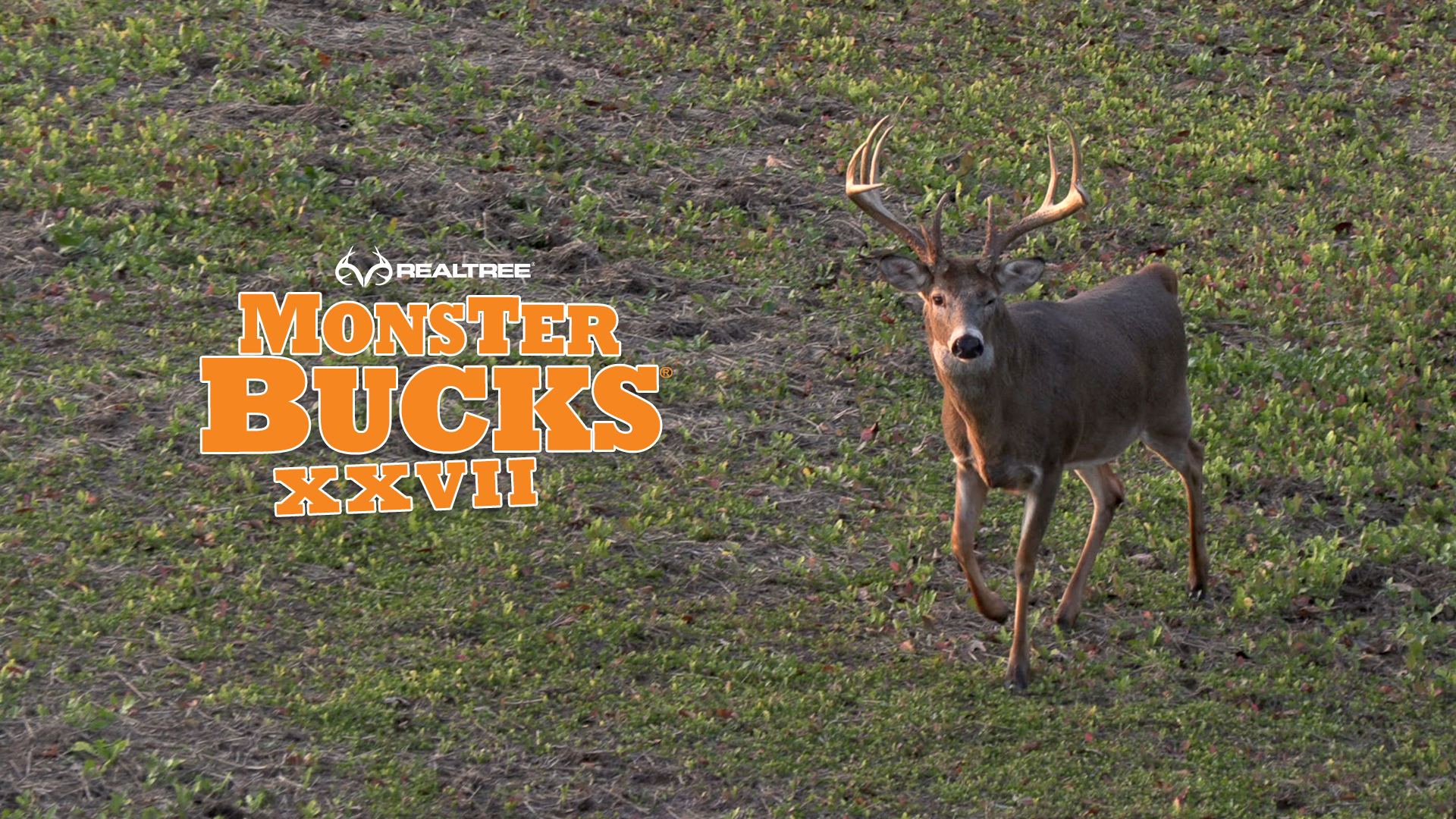 Phillip Culpepper's Magical Iowa Monster