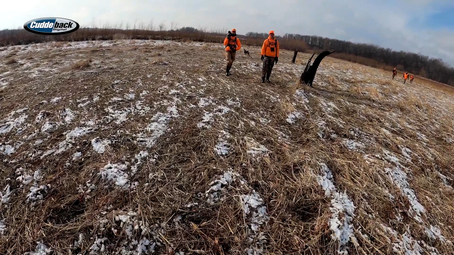 Drake's Blog: Public-Land Deer Drives | Hanging With The Hunting Public