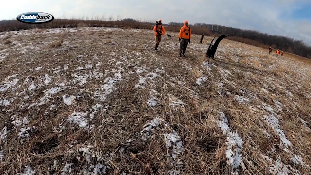 Drake's Blog: Public-Land Deer Drives | Hanging With The Hunting Public