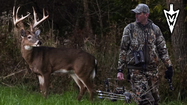 The "Big Chief" Whitetail Story, Bowhunting Gobblers | Midwest Whitetail