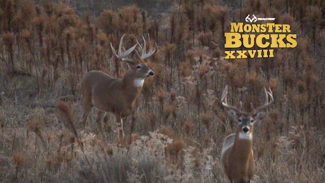 Jeff Danker's Huge Oklahoma Monster |...