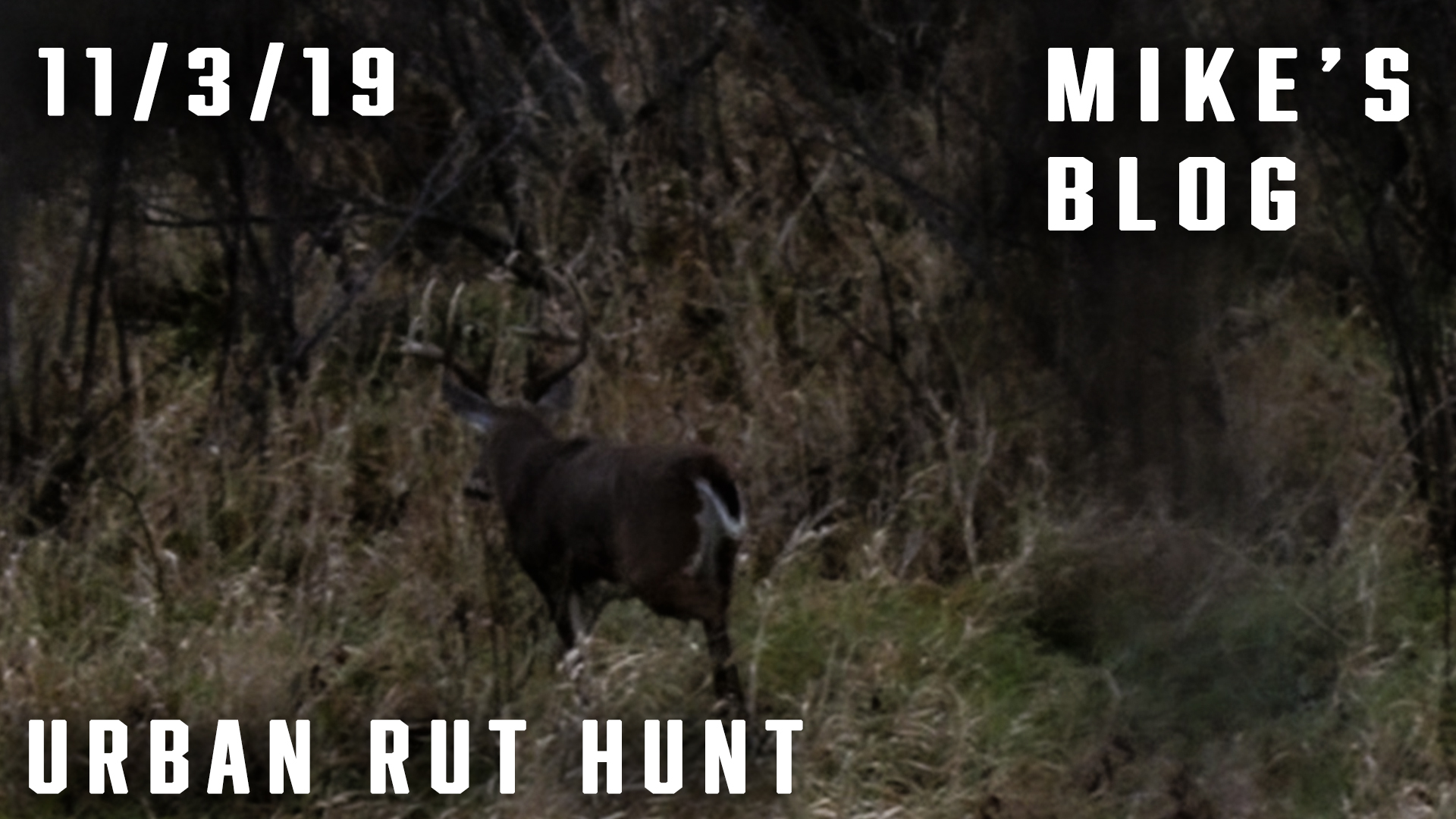 Mike’s Blog: Urban Zone Rut Hunt