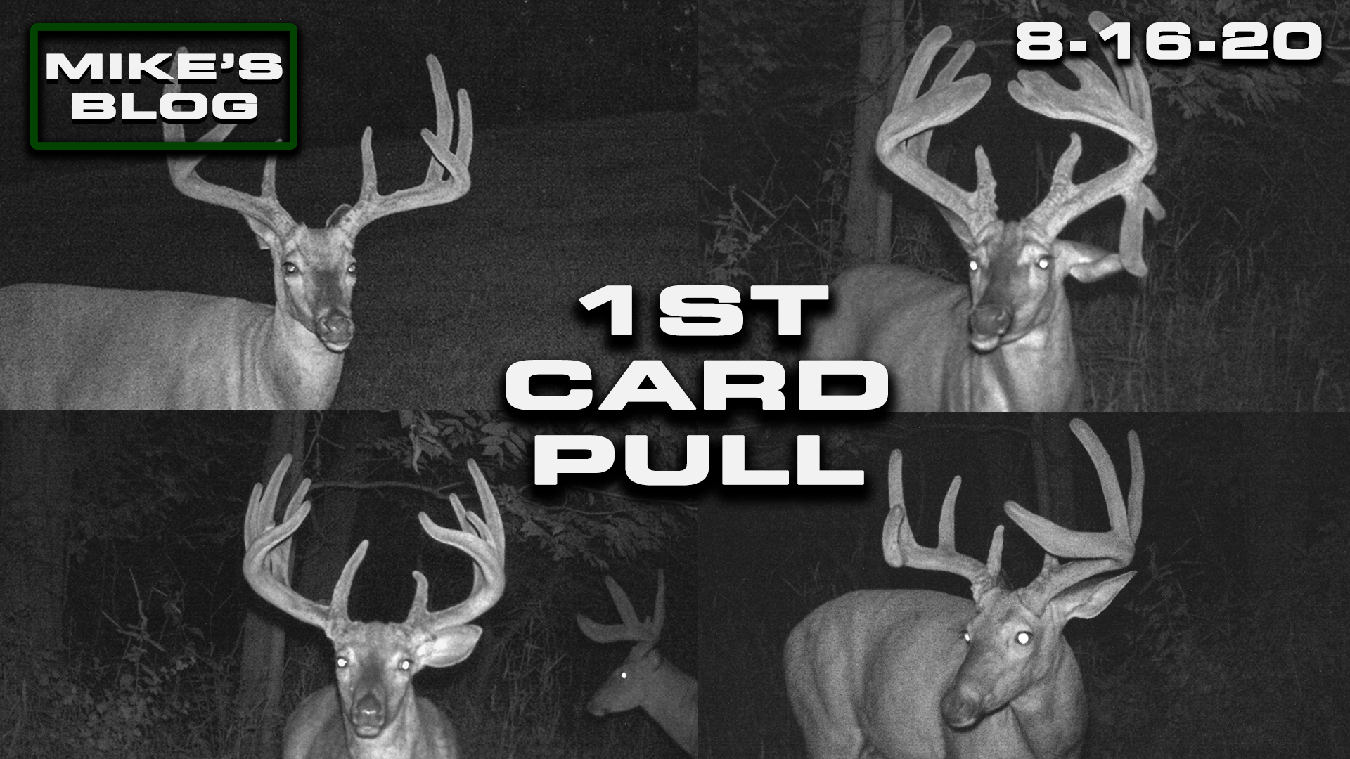 Mike's Blog: First Card Pull | Big Surprises