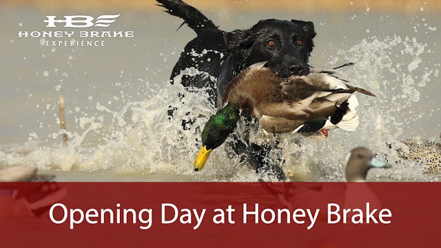 Opening Day of Duck Season at Honey Brake