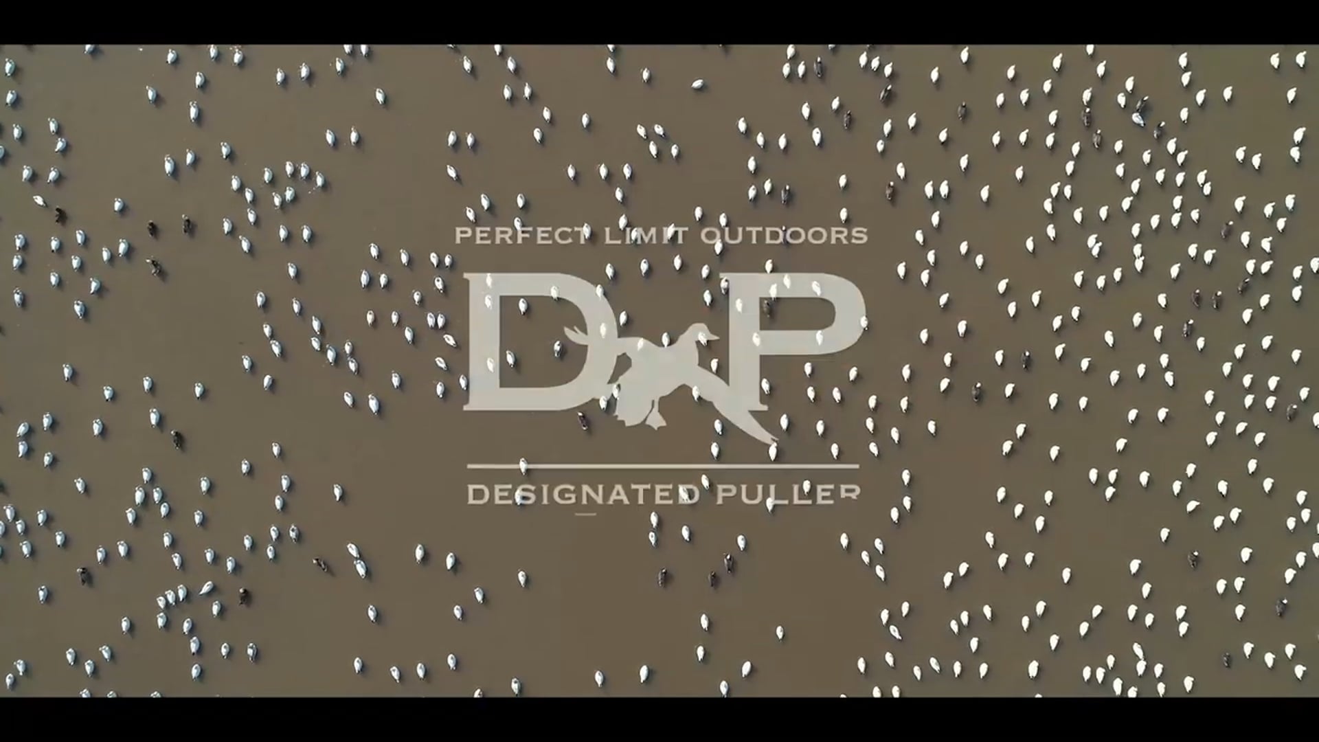 Snow Geese Galore | Who's the Shot Caller, Anyway? | DayBreak Outdoors