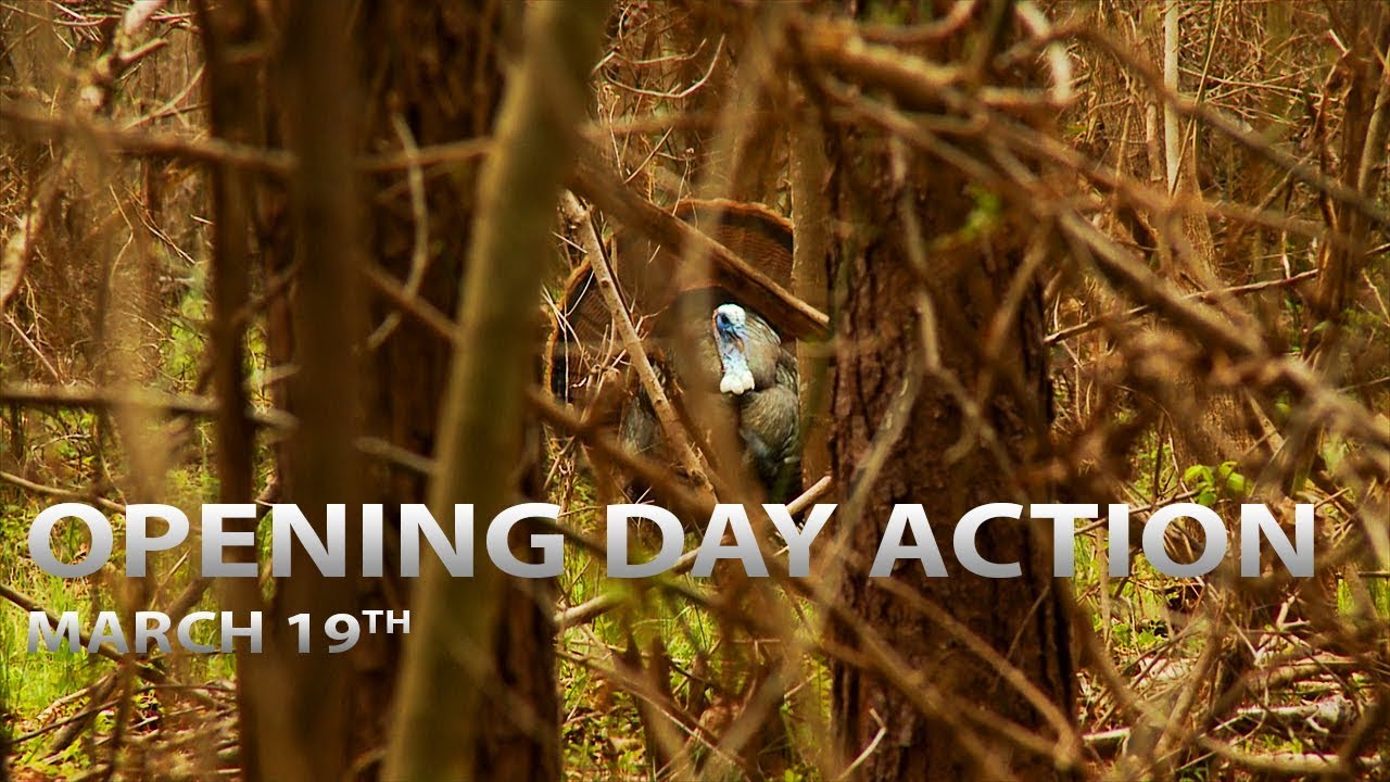 3-19-18: Alabama Opener, Public Scouting, Georgia Youth Hunt | Spring Thunder