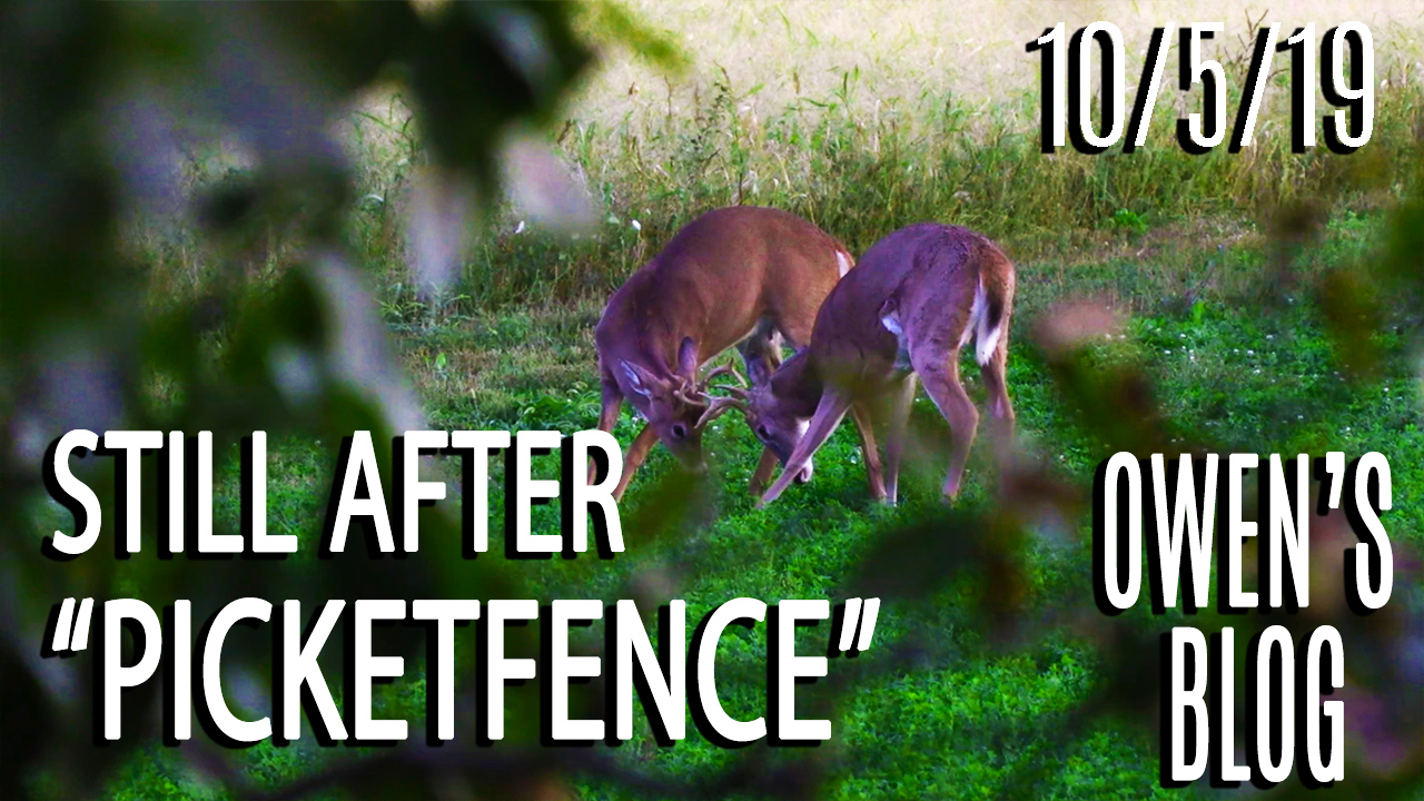 Owen's Blog | Hunt For "Picket Fence"