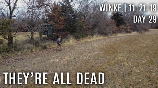 Winke Day 29: They're All Dead