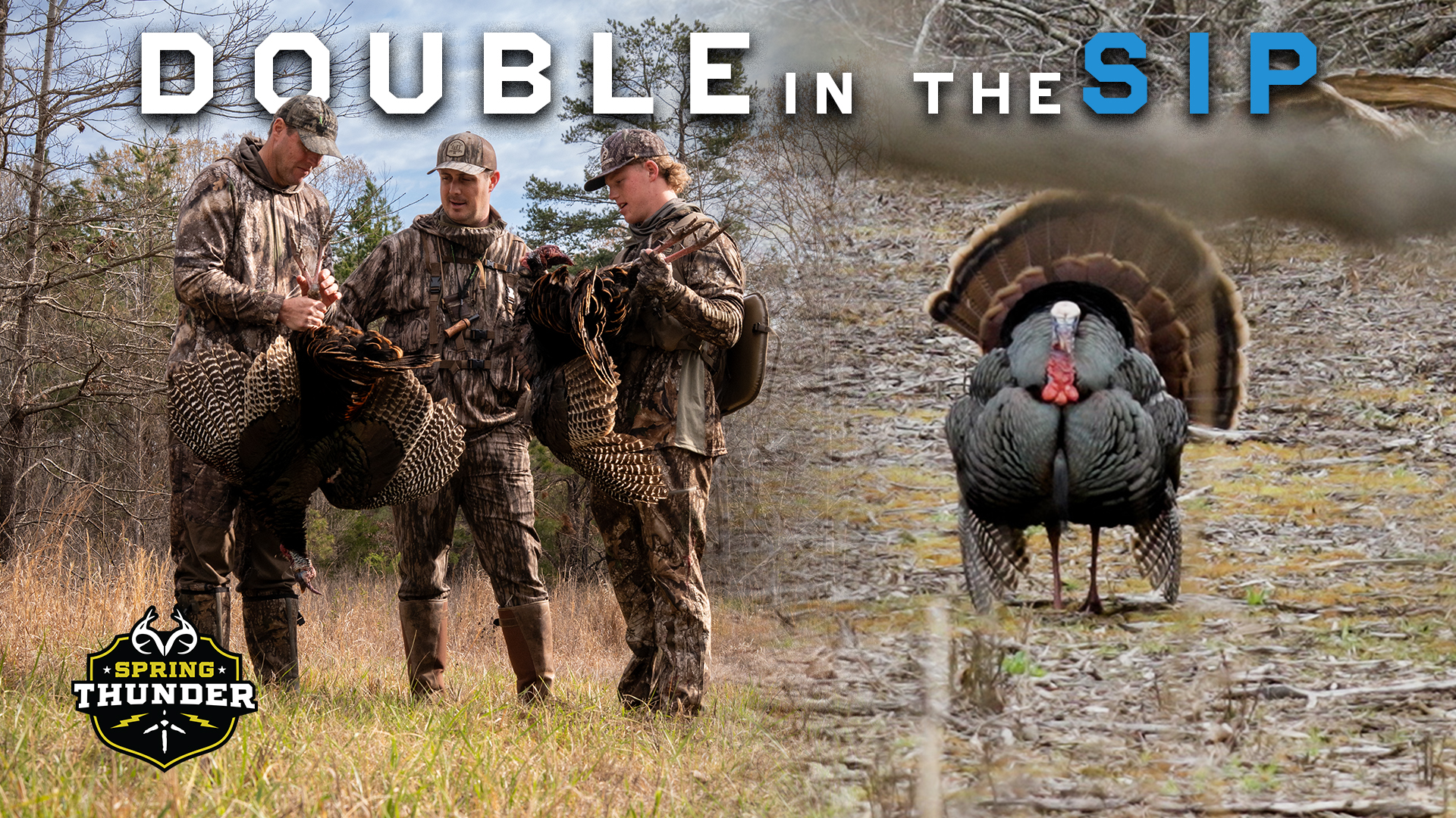 Mississippi Gobblers | Ole Miss Turkey
