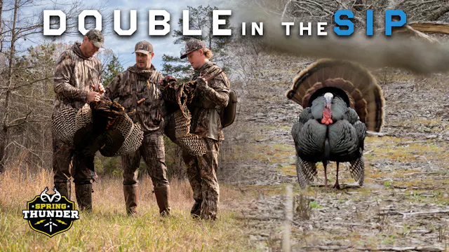 Mississippi Gobblers | Ole Miss Turkey